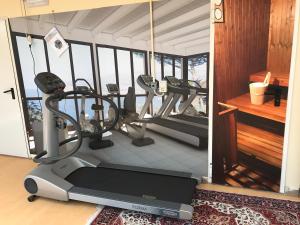 Fitness centrum a/nebo fitness zařízení v ubytování Hotel Byron