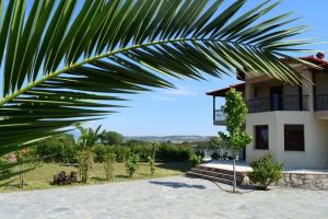 a view of a house with a palm tree at Astri Villa in Ierissos
