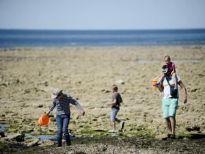 Hosté ubytování Huttopia Chardons bleus Ile de Re