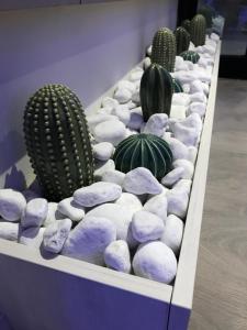 Fotografie z fotogalerie ubytování NovaHotel v destinaci Reggio Emilia