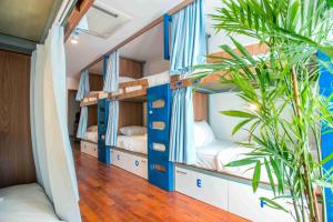 a room with four bunk beds and a plant at Nexy Hostel in Hanoi