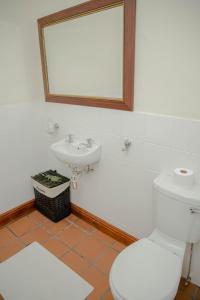 a bathroom with a white toilet and a sink at De Kothuize 4 in Graaff-Reinet