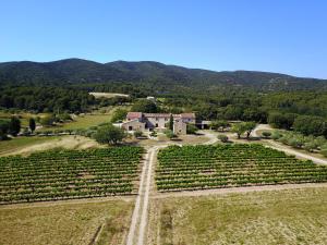 an aerial view of a house in a vineyard at La Rivayne in Lourmarin