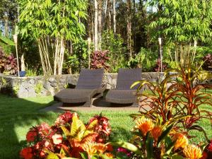Gallery image of Volcano Eco Retreat by Heart Core Hotels - Adults Only in Mountain View