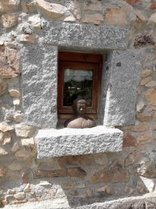 Fotografie z fotogalerie ubytování El Solei Paraiso en el Montseny v destinaci Arbúcies
