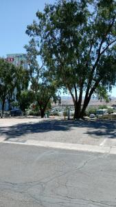 Foto dalla galleria di RV Park - Riverside Resort a Laughlin