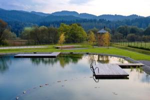a park with a bench in the middle of a lake at Green Resort Glamping in Radlje ob Dravi