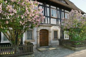 een huis met een boom met roze bloemen ervoor bij Goldberghaus in Großschönau