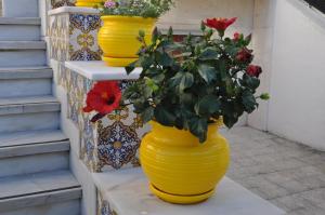 a row of yellow vases with flowers in them at Casa Amarela Belém in Lisbon