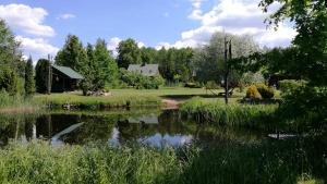 Blick auf einen Teich mit einem Haus im Hintergrund in der Unterkunft Nature Resort Stirnelė in Kraujeliai