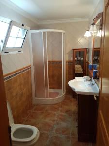 a bathroom with a shower and a toilet and a sink at Casa Flor in Punta Mujeres