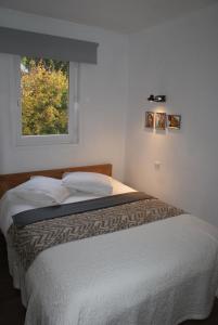 een slaapkamer met een groot bed en een raam bij Champalo in Chamonix-Mont-Blanc