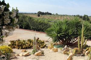 Zahrada ubytování Palmas Dorada Home