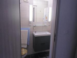 Koupelna v ubytování Apartment Kolman