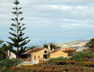 Príroda v okolí of the country house