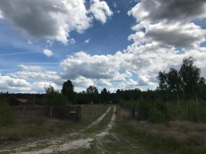 Przyroda w pobliżu tego domu wakacyjnego