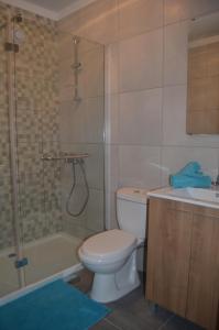y baño con aseo, ducha y lavamanos. en Modern and Cozy Apartment en Vila Nova de Gaia