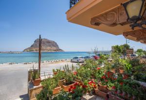 a group of potted plants on a beach at Petrino Guesthouse in Monemvasia