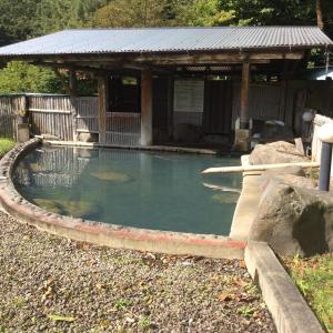 בריכת השחייה שנמצאת ב-Oogi Onsen Oogiso או באזור