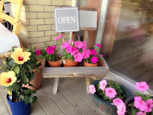 Gallery image of Village Sun Lake Kawaguchiko in Fujikawaguchiko +9 photos