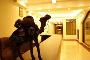 Oaspeți care stau la Windfort Hotels & Resorts +27 fotografii
