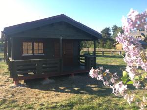 a small cabin in a field with pink flowers at Kāpas in Melnsils