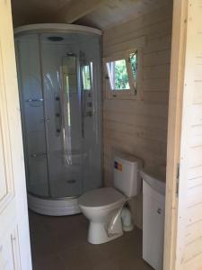a bathroom with a toilet and a shower and a sink at Kāpas in Melnsils
