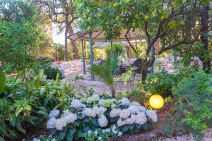 A garden outside Hotel Villa Tiziana