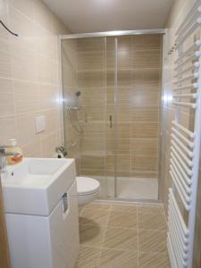 Vannituba majutusasutuses Apartmány Brychovi