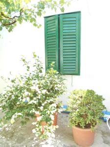 Billede fra billedgalleriet på Family house Bacalja i Preko + 26 billeder