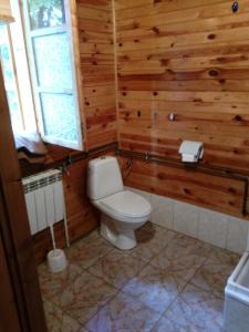 a bathroom with a toilet and wooden walls at Dom Wakacyjny u Chmiela in Wołkowyja