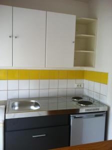 a kitchen with white cabinets and a sink at Treilles'Appart in Lille