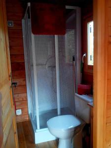 リムーにあるRoulotte à qques km de Carcassonneのバスルーム(シャワー、トイレ、洗面台付)