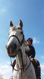 a woman is sitting on a white horse at Judit nyaraló in Velence
