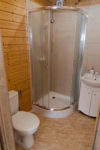 a bathroom with a shower and a toilet and a sink at Domek Letniskowy Pucka in Mieroszyno