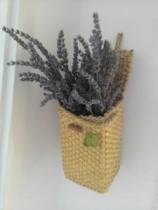 Gallery image of Apartments Prisnac in Pakoštane