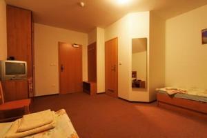 TV a/nebo společenská místnost v ubytování MOTEL ROUTE 66 Lopej
