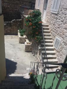 a set of stairs with flowers in a building at Apartments Hana in Makarska