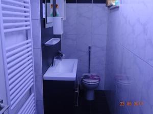 een witte badkamer met een wastafel en een toilet bij Ferienwohnung am sonnigen Hang in Riedenburg