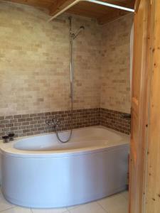 a bath tub with a shower in a bathroom at Ferienwohnung Lenzerheide-Sporz in Lenzerheide