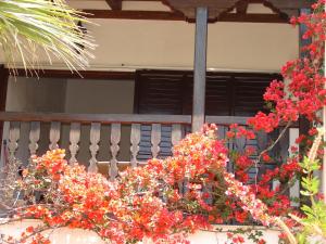Um jardim em Villa Frideriki
