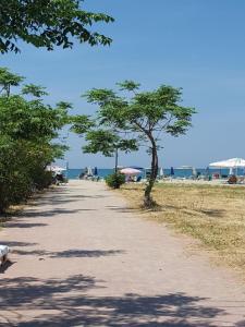 een wandelpad aan het strand met een boom bij Dori Apartment in Golem