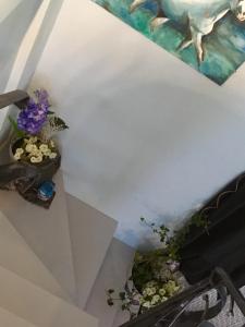 Fotografie z fotogalerie ubytování Luxury Apartments Marhella & Jakov v destinaci Makarska