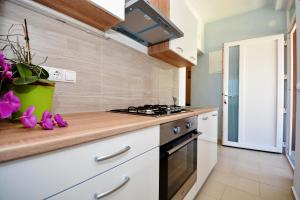 Kuchyň nebo kuchyňský kout v ubytování Apartments Clara