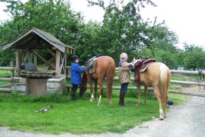 twee mensen en twee paarden die naast een hek staan bij Chambre d'hotes La Jaunais in Virey
