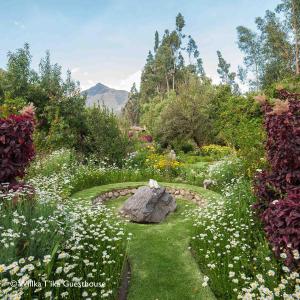 un giardino con fiori bianchi e una roccia di Willka T'ika a Urubamba