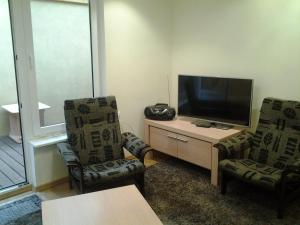 TV a/nebo společenská místnost v ubytování Jaani 2-1 Apartment