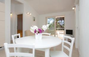 Gallery image of Beautiful apartment by the sea in Prizba +30 photos