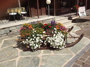 Zahrada ubytování Albergo Soldanella