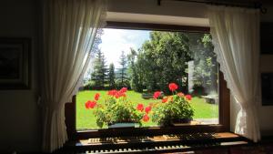 a window with a view of a garden with red flowers at B&B Bucaneve in Vigo di Fassa